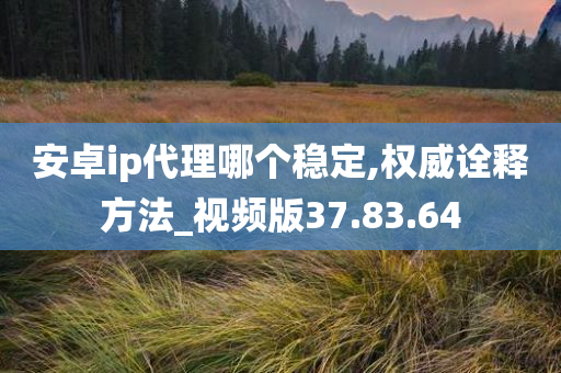 安卓ip代理哪个稳定,权威诠释方法_视频版37.83.64