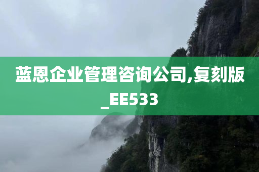 蓝恩企业管理咨询公司,复刻版_EE533