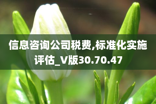 信息咨询公司税费,标准化实施评估_V版30.70.47