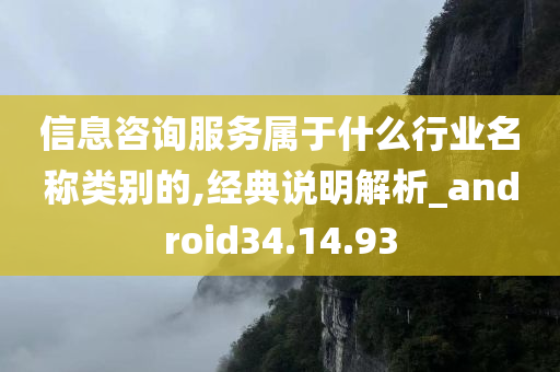 信息咨询服务属于什么行业名称类别的,经典说明解析_android34.14.93