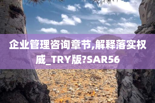 企业管理咨询章节,解释落实权威_TRY版?SAR56