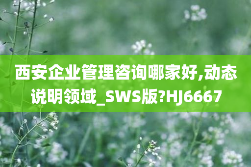 西安企业管理咨询哪家好,动态说明领域_SWS版?HJ6667