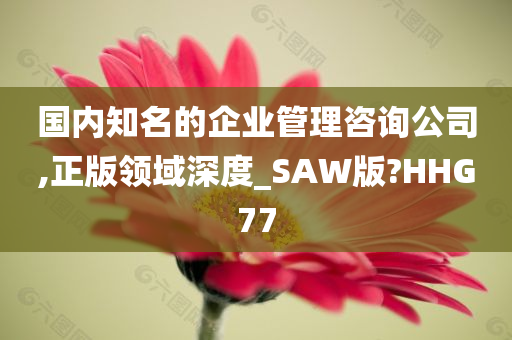 国内知名的企业管理咨询公司,正版领域深度_SAW版?HHG77