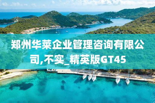 郑州华莱企业管理咨询有限公司,不实_精英版GT45