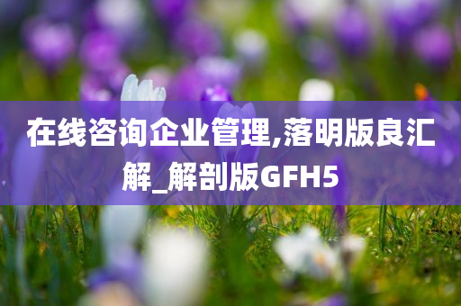 在线咨询企业管理,落明版良汇解_解剖版GFH5