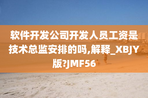 软件开发公司开发人员工资是技术总监安排的吗,解释_XBJY版?JMF56