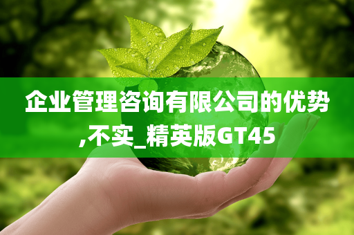 企业管理咨询有限公司的优势,不实_精英版GT45