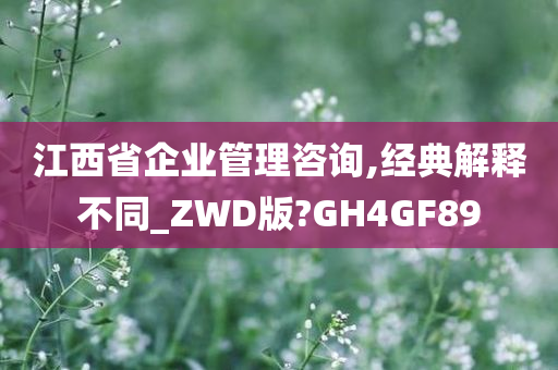 江西省企业管理咨询,经典解释不同_ZWD版?GH4GF89