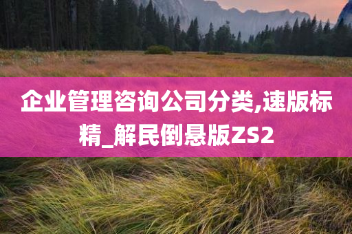 企业管理咨询公司分类,速版标精_解民倒悬版ZS2