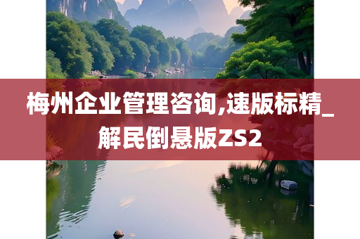 梅州企业管理咨询,速版标精_解民倒悬版ZS2