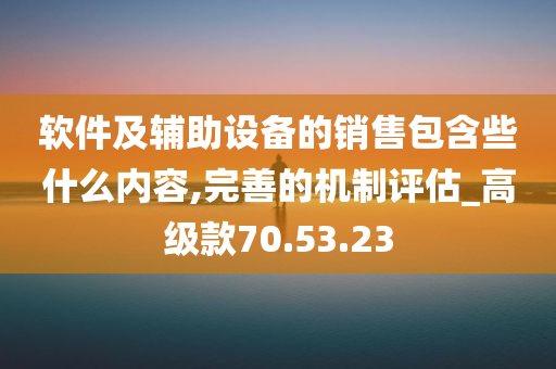 软件及辅助设备的销售包含些什么内容,完善的机制评估_高级款70.53.23