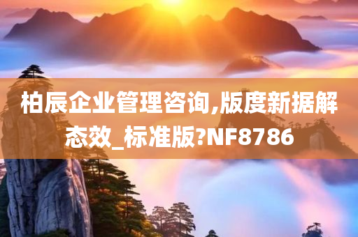 柏辰企业管理咨询,版度新据解态效_标准版?NF8786