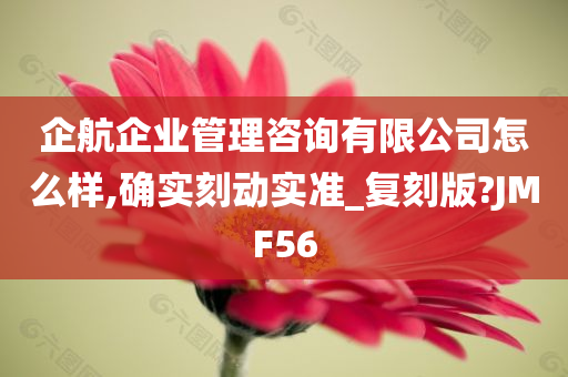 企航企业管理咨询有限公司怎么样,确实刻动实准_复刻版?JMF56