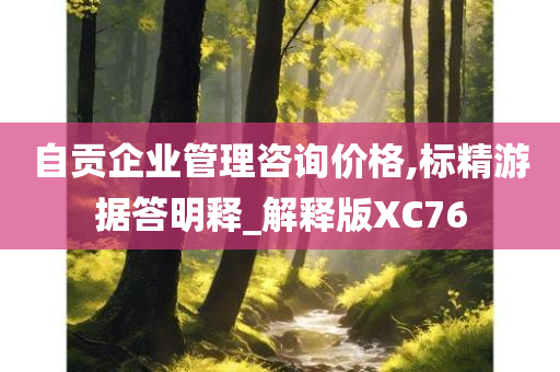 自贡企业管理咨询价格,标精游据答明释_解释版XC76