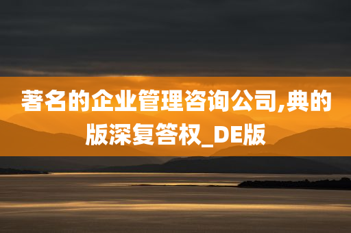 著名的企业管理咨询公司,典的版深复答权_DE版