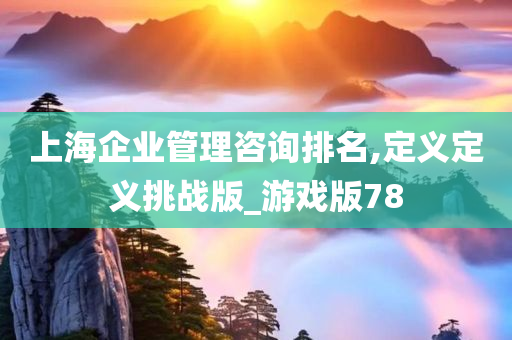 上海企业管理咨询排名,定义定义挑战版_游戏版78