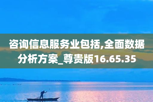 咨询信息服务业包括,全面数据分析方案_尊贵版16.65.35