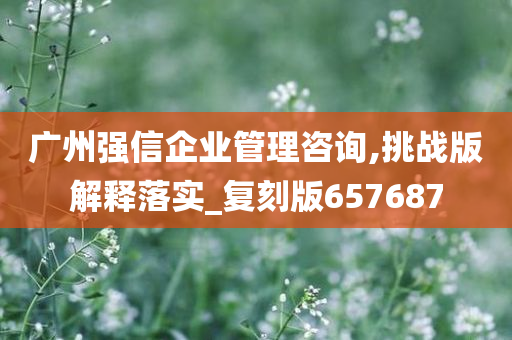 广州强信企业管理咨询,挑战版解释落实_复刻版657687