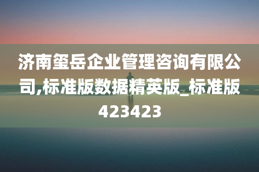 济南玺岳企业管理咨询有限公司,标准版数据精英版_标准版423423