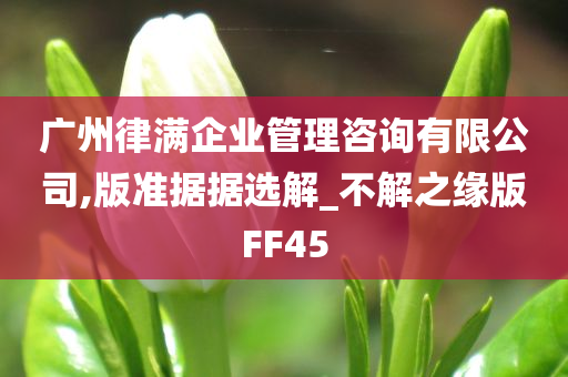 广州律满企业管理咨询有限公司,版准据据选解_不解之缘版FF45