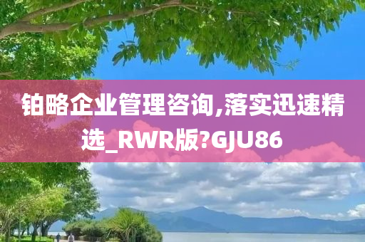 铂略企业管理咨询,落实迅速精选_RWR版?GJU86