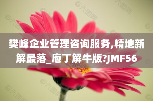 樊峰企业管理咨询服务,精地新解最落_庖丁解牛版?JMF56