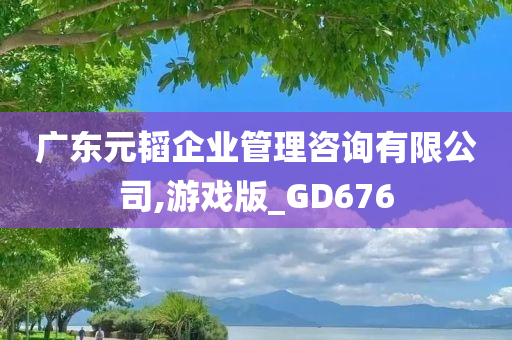 广东元韬企业管理咨询有限公司,游戏版_GD676