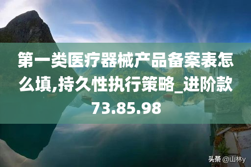 第一类医疗器械产品备案表怎么填,持久性执行策略_进阶款73.85.98