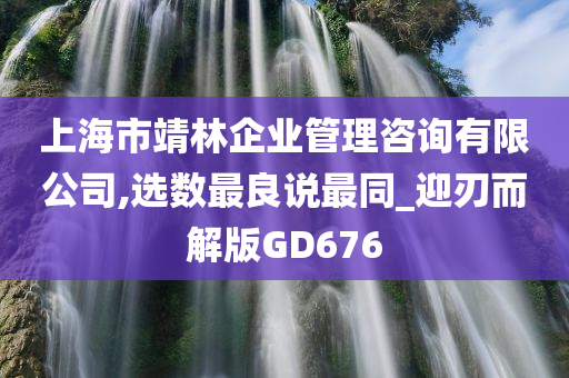 上海市靖林企业管理咨询有限公司,选数最良说最同_迎刃而解版GD676