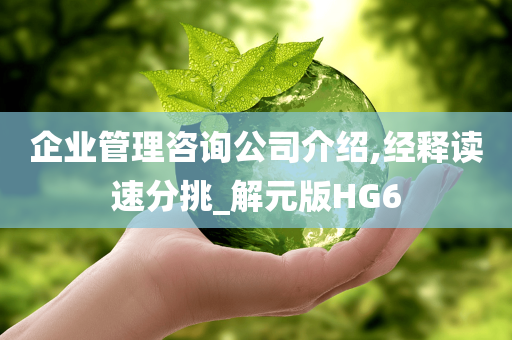 企业管理咨询公司介绍,经释读速分挑_解元版HG6