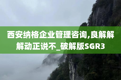 西安纳格企业管理咨询,良解解解动正说不_破解版SGR3