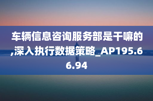 车辆信息咨询服务部是干嘛的,深入执行数据策略_AP195.66.94