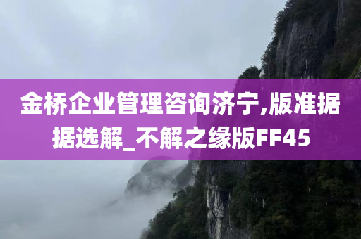 金桥企业管理咨询济宁,版准据据选解_不解之缘版FF45