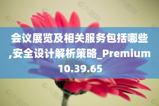 会议展览及相关服务包括哪些,安全设计解析策略_Premium10.39.65