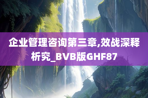 企业管理咨询第三章,效战深释析究_BVB版GHF87