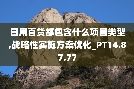 日用百货都包含什么项目类型,战略性实施方案优化_PT14.87.77