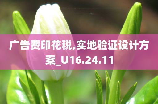 广告费印花税,实地验证设计方案_U16.24.11