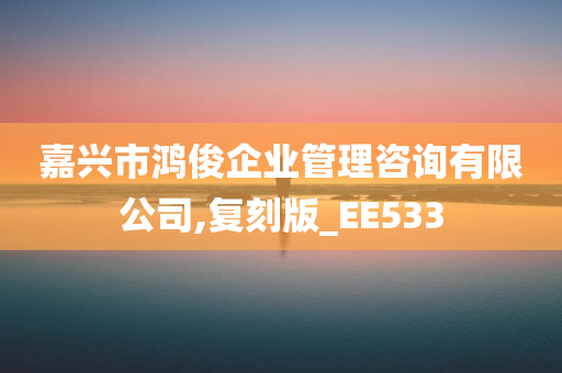 嘉兴市鸿俊企业管理咨询有限公司,复刻版_EE533