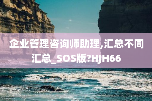 企业管理咨询师助理,汇总不同汇总_SOS版?HJH66