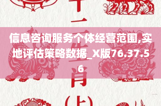 信息咨询服务个体经营范围,实地评估策略数据_X版76.37.56