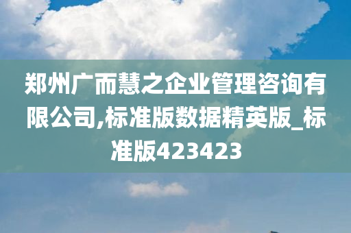 郑州广而慧之企业管理咨询有限公司,标准版数据精英版_标准版423423