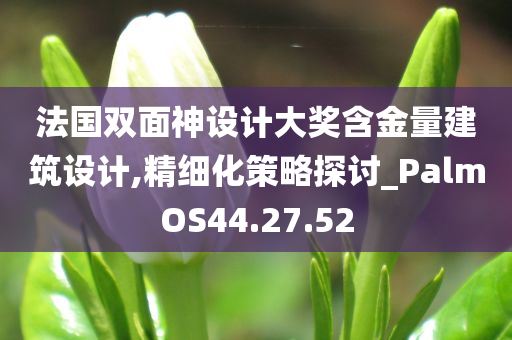 法国双面神设计大奖含金量建筑设计,精细化策略探讨_PalmOS44.27.52