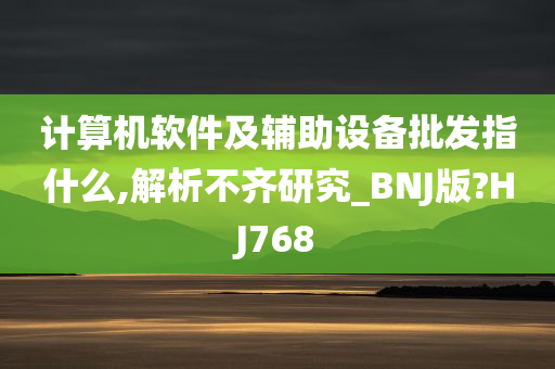 计算机软件及辅助设备批发指什么,解析不齐研究_BNJ版?HJ768