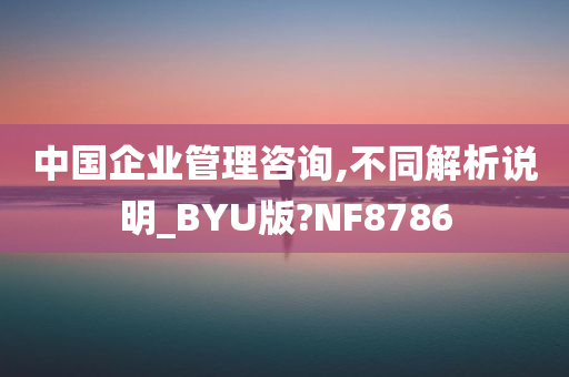 中国企业管理咨询,不同解析说明_BYU版?NF8786