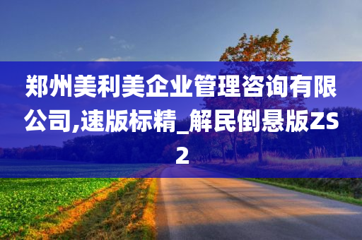 郑州美利美企业管理咨询有限公司,速版标精_解民倒悬版ZS2