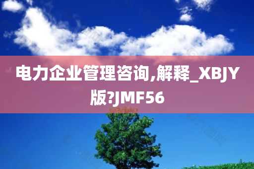 电力企业管理咨询,解释_XBJY版?JMF56