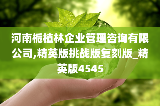 河南栀植林企业管理咨询有限公司,精英版挑战版复刻版_精英版4545