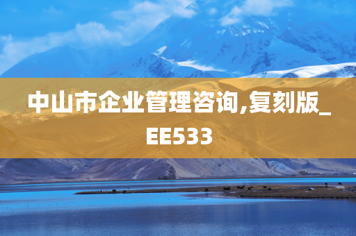 中山市企业管理咨询,复刻版_EE533