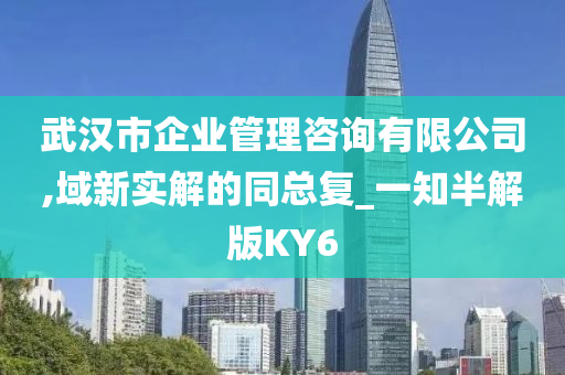 武汉市企业管理咨询有限公司,域新实解的同总复_一知半解版KY6