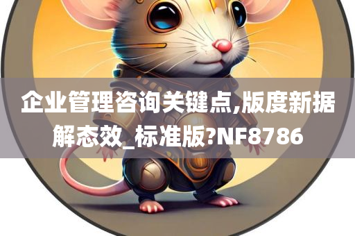 企业管理咨询关键点,版度新据解态效_标准版?NF8786